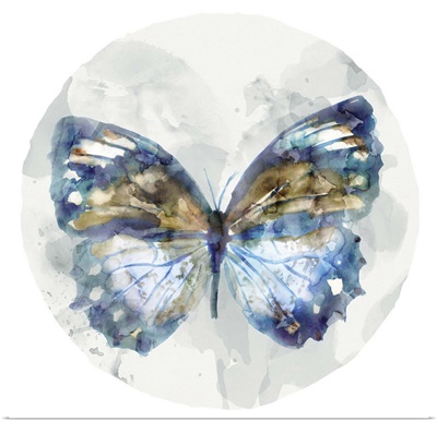 Indigo Butterfly I