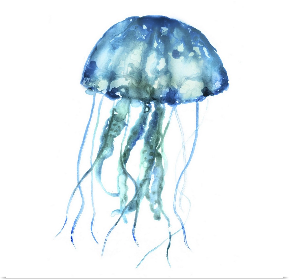 Blue-toned watercolor painting of a jellyfish on white.