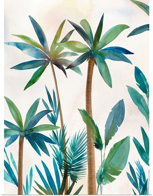 Palm Oasis I