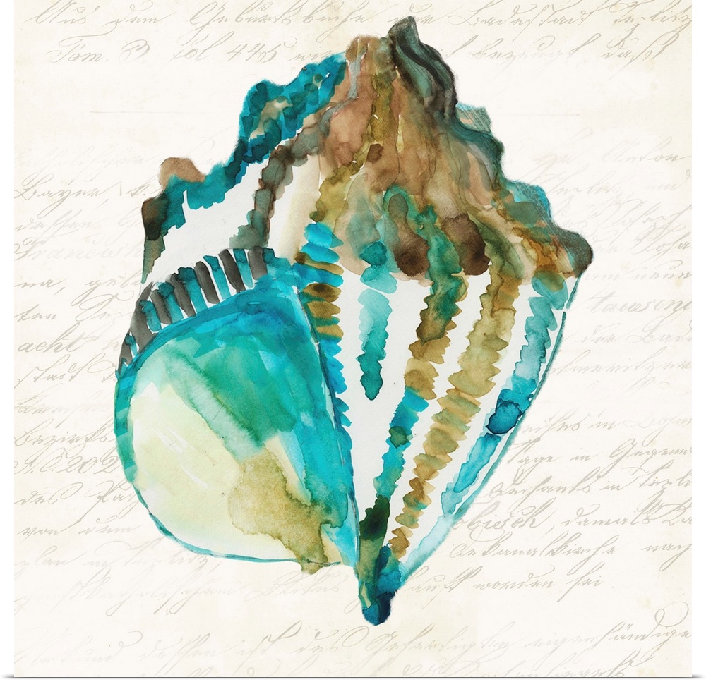 Watercolor painting of a seashell in blue and brown.