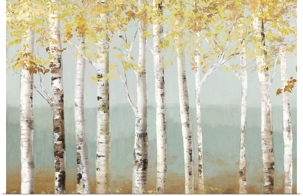 Contemporary painting of a white birch forest with golden leaves.
