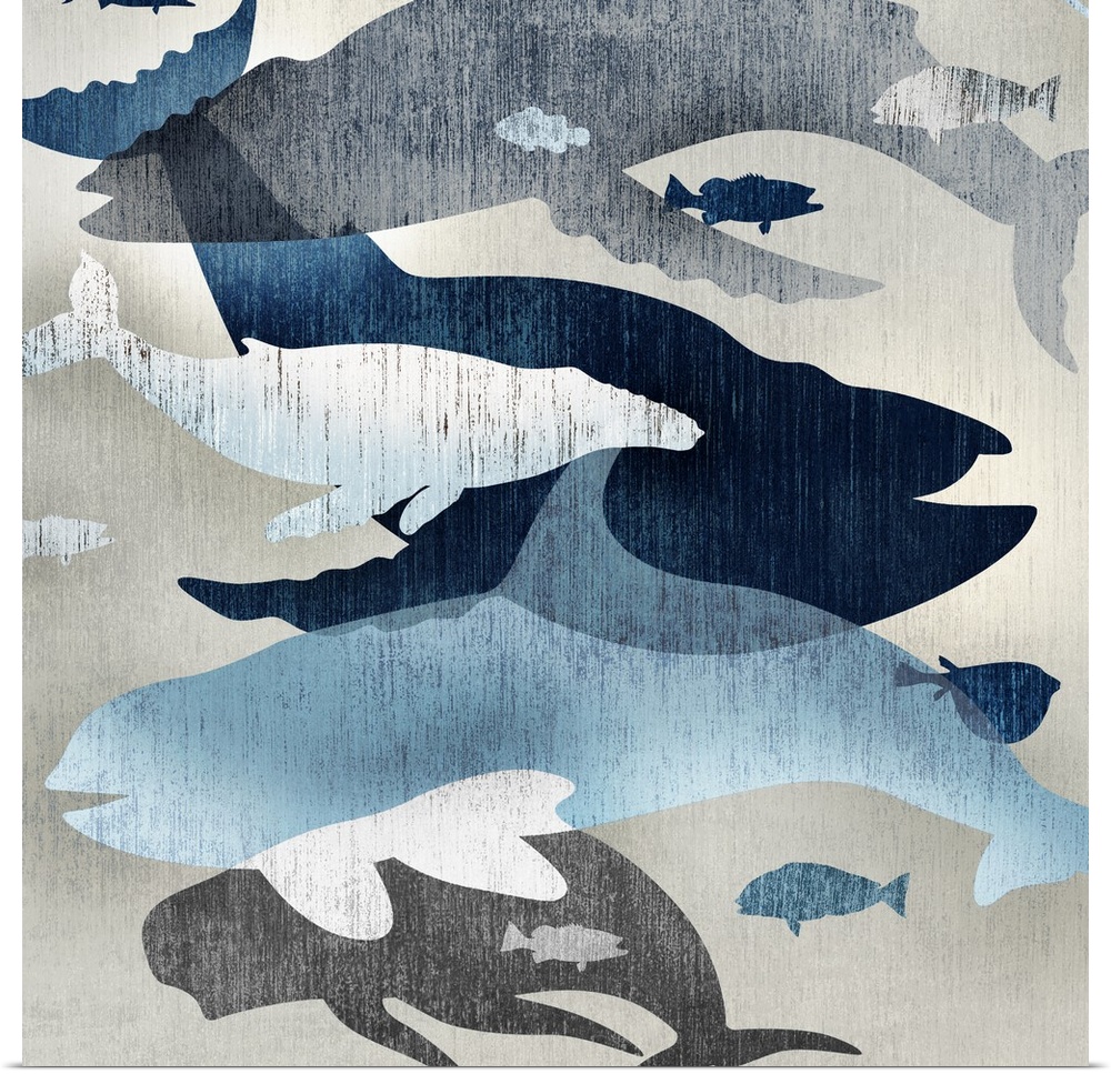 Outlines of various whale species in blue tones.