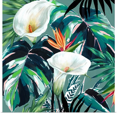 White Lily Paradise