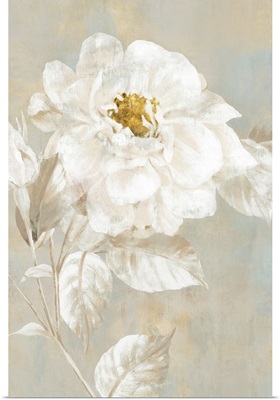 White Rose I