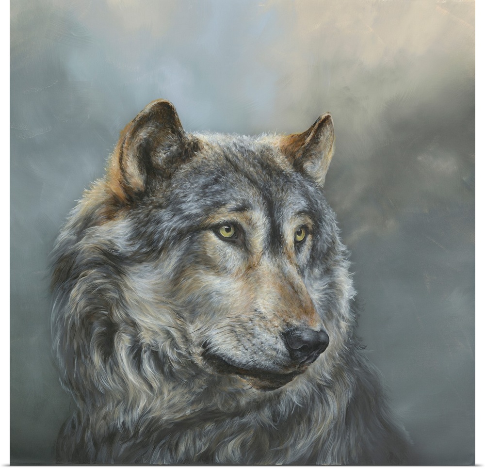 Wistful Wolf