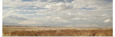 Prairie Panorama