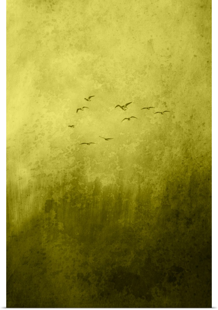 Birds flying in a yellow sky.