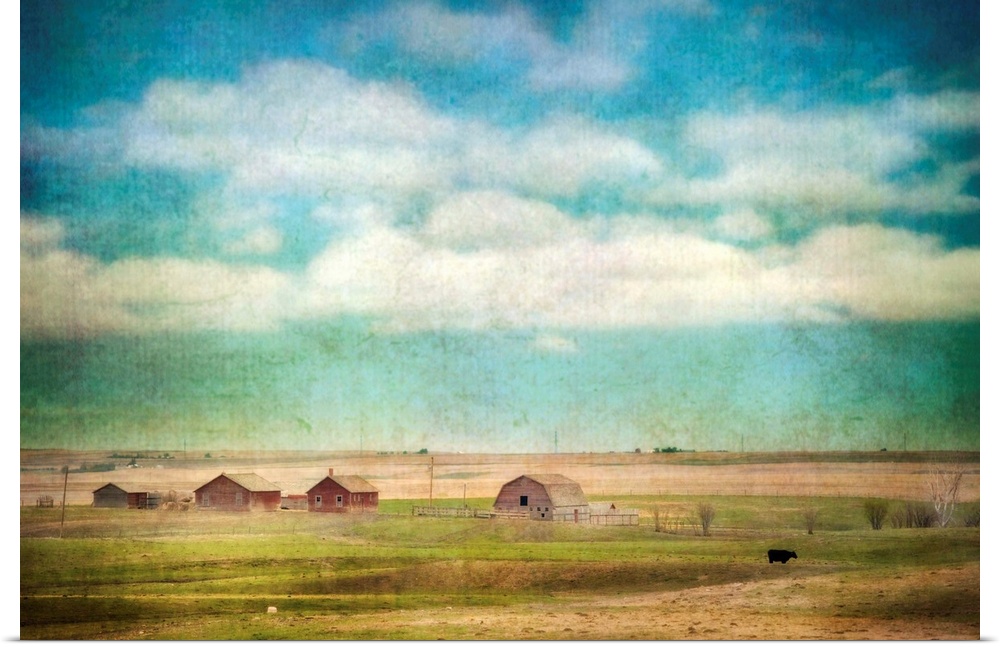 A lone cow and barns on a prairie farm.