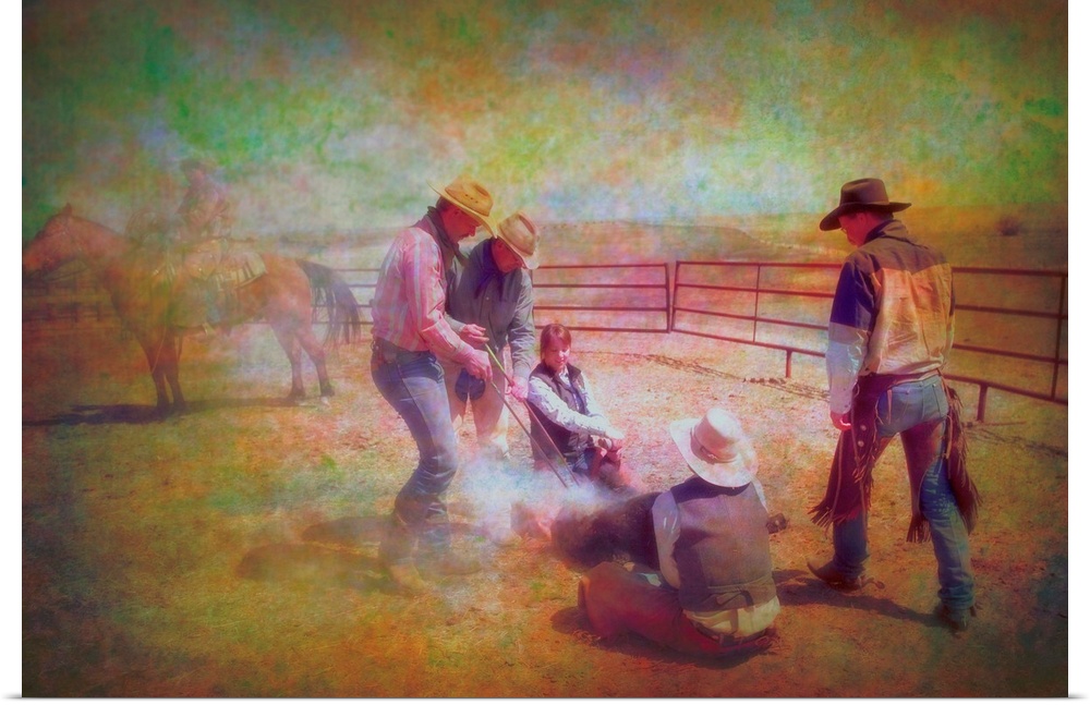 Cowboys and cowgirls form an old fashioned western scene during cattle branding.