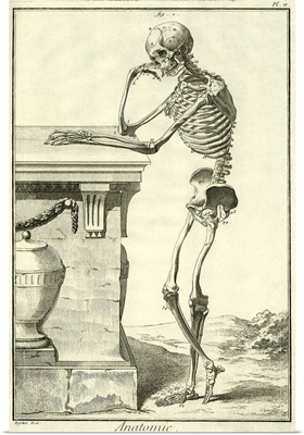 Skeleton Leans on Wall