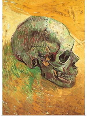 Skull in Profile