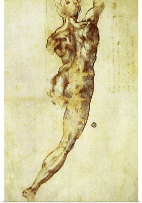 Study of a Nude for The Battle of Cascina