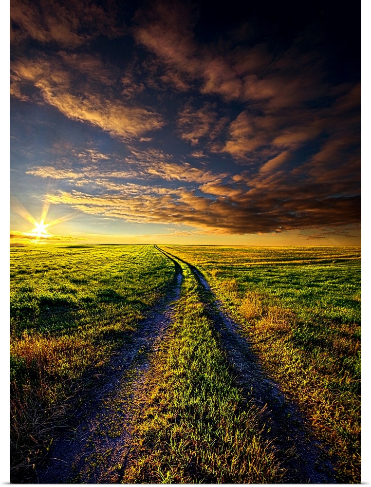 Sunset over a dirt path in an empty field.