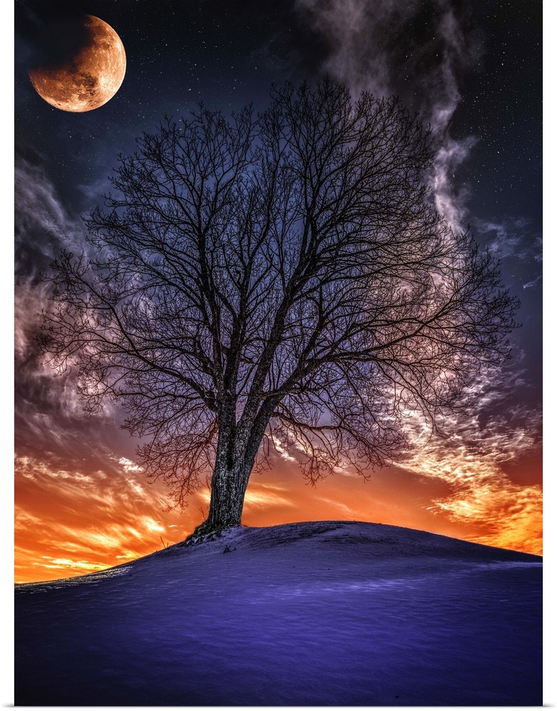 A red moon over a lone tree on a hill during a bright sunset, Norway.
