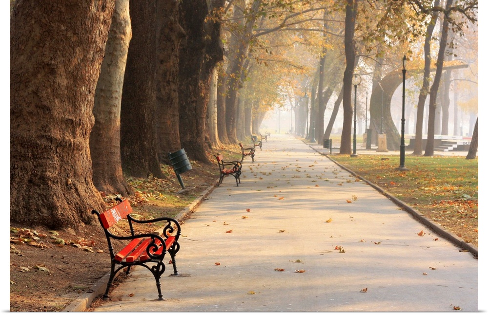 Benches along the edge of a walkway in Skopje City Park, Macedonia.
