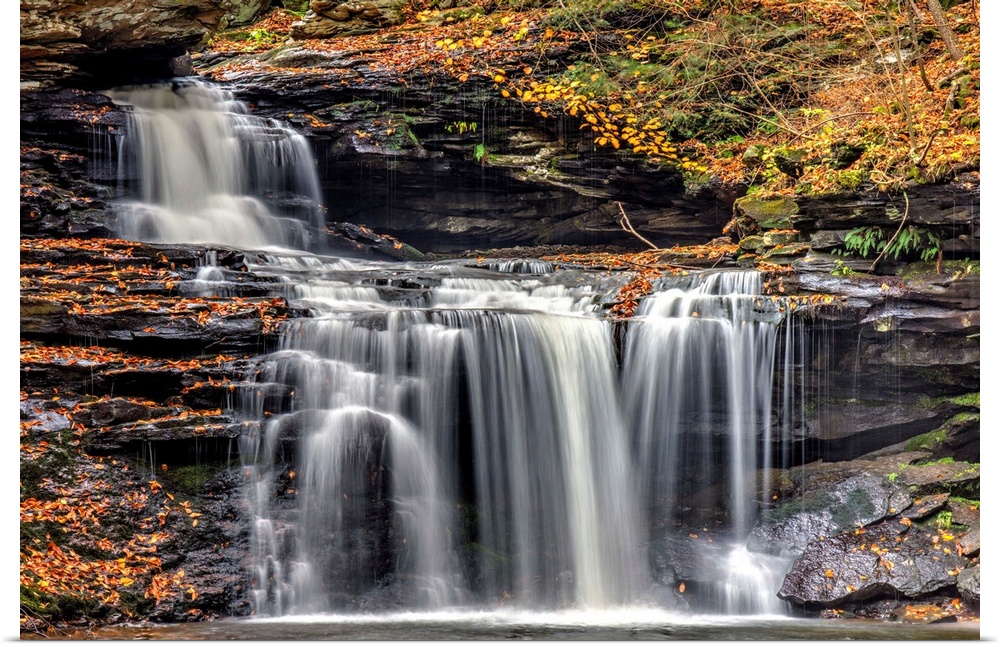 BF Ricketts Falls at Ricketts Glen State Park, Pennsylvania.