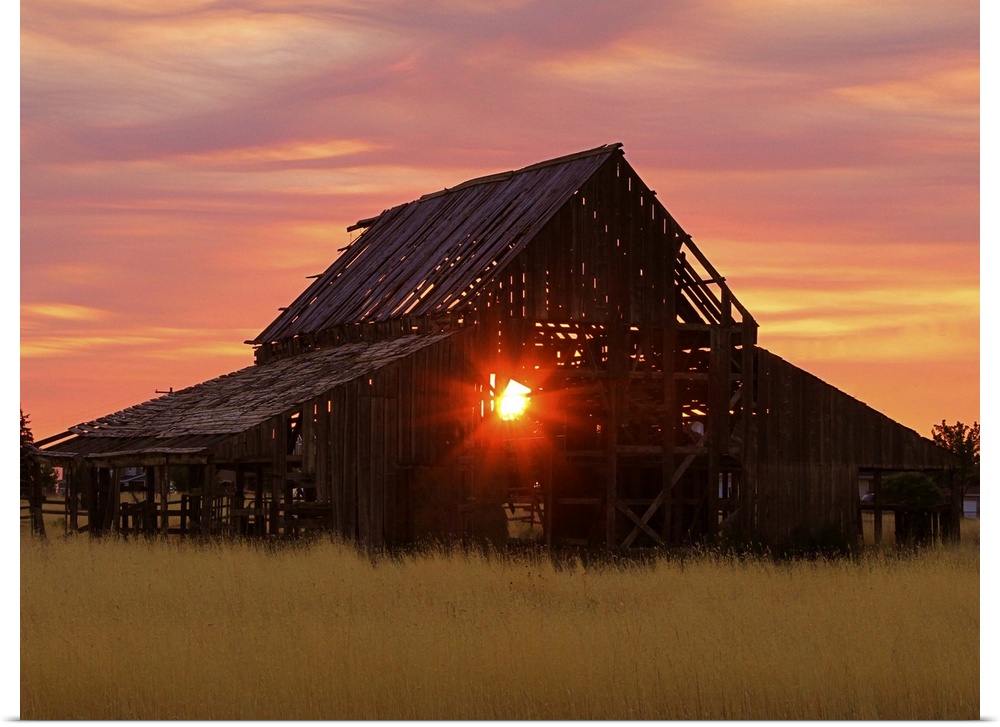 The setting sun shining through the beams of an old, abandoned barn.