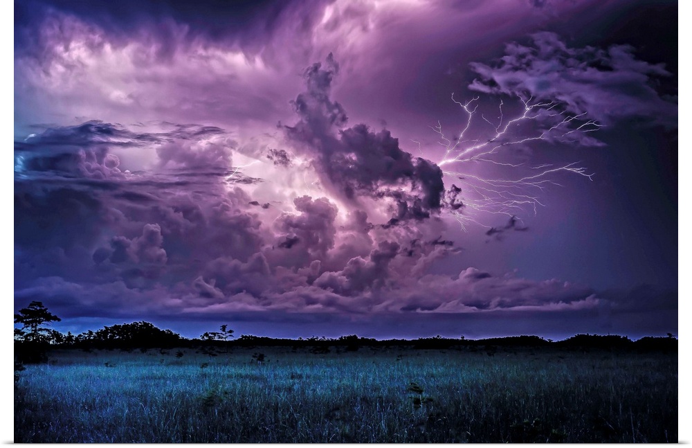 Lightning storm over the Everglades at night.