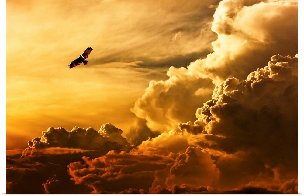 An eagle flying in the sky over large clouds at sunset.