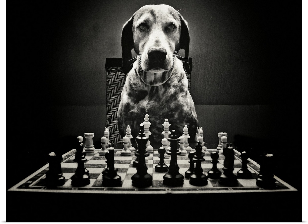 Portrait of a dog sitting at a chess board.