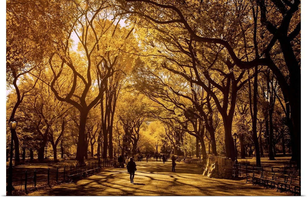 People walking through Central Park under the trees in the fall.