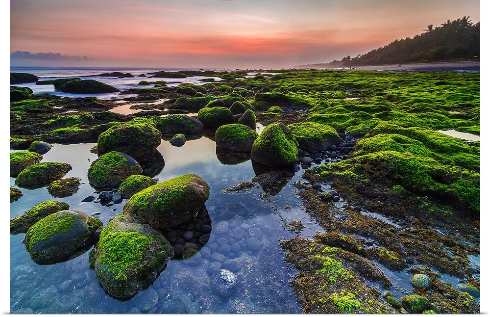 Mossy rocks on the coast of Pengeragoan, Pekutatn, Bali, Indonesia.