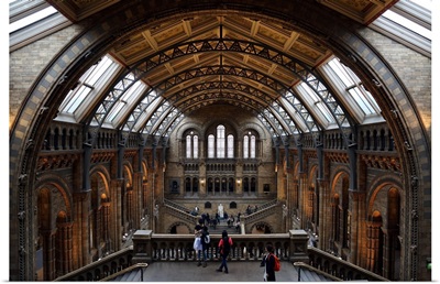Natural History Museum Grand Hall