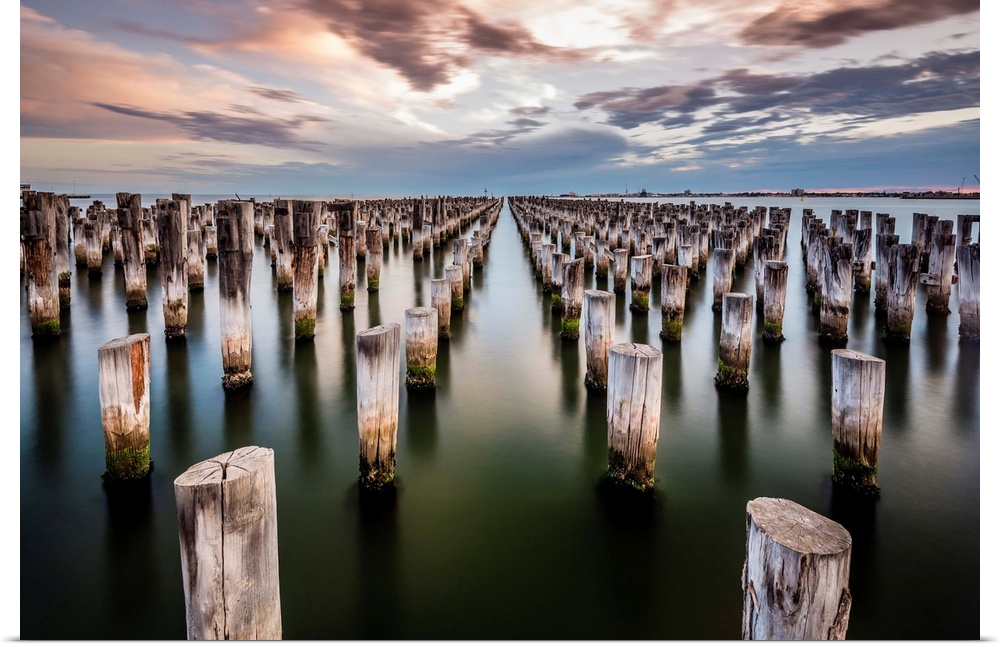 Weathered old wooden posts in the sea at twilight, Port Melbourne, Australia.