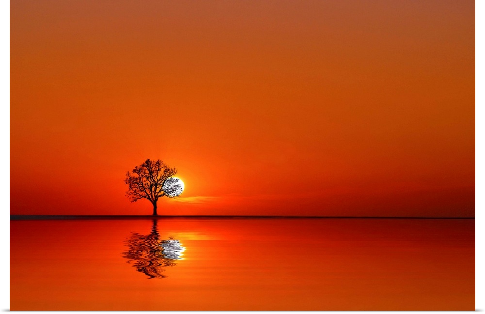 A single tree on the horizon partially obscuring the sun, mirrored in the lake.