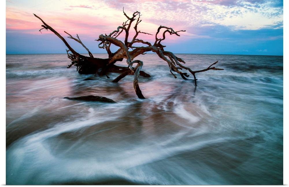 A gnarled piece of driftwood submerged in swirling water, Jekyll Island, Georgia.