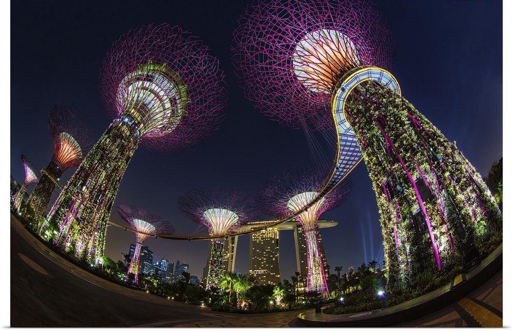Dynamic photograph of giant neon lit tree structures in Singapore.