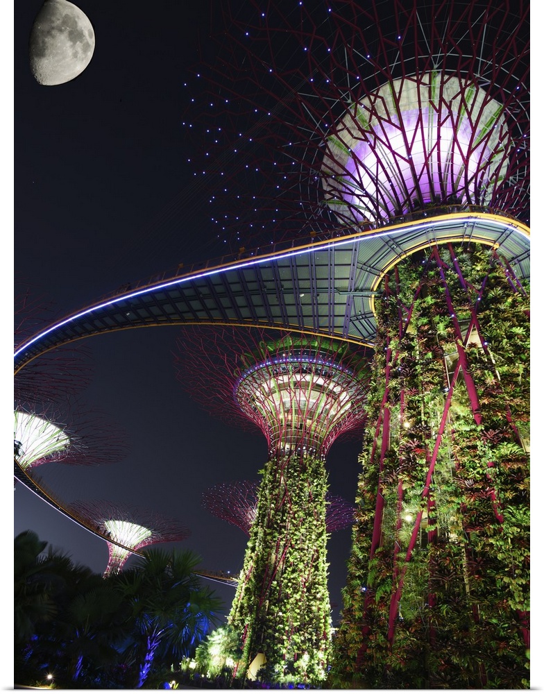 Beautiful tree-like structures in the city of Singapore.