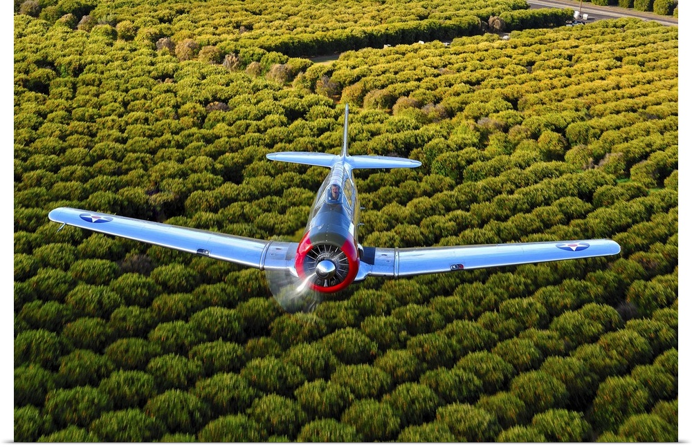 A North American T-6 Texan makes a pass over Arizona Orange Groves.