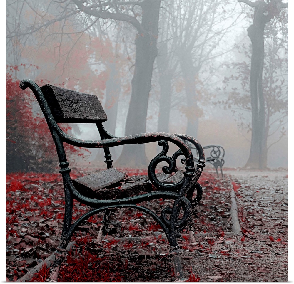 A black metal bench in a foggy park, with red autumn leaves surrounding it.