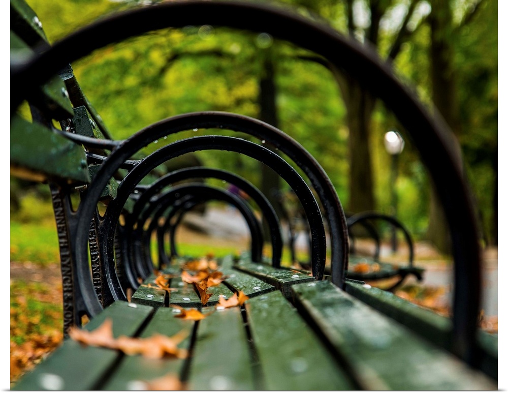 New York City park bench from a different viewpoint