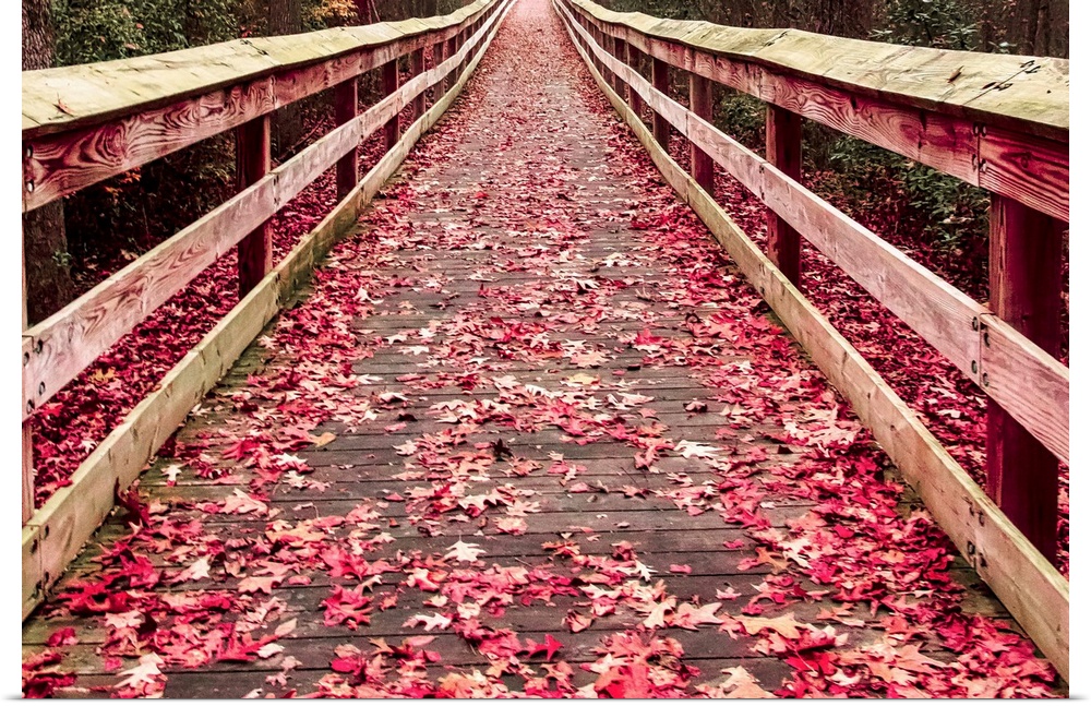 A wooden walkway covered with red fallen leaves.