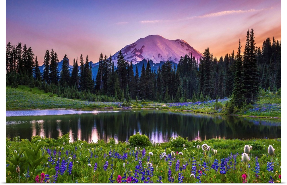 Flowers along the edge of a lake with Mount Rainier in the distance, at sunset.