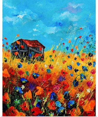 Old Barn And Field Flowers