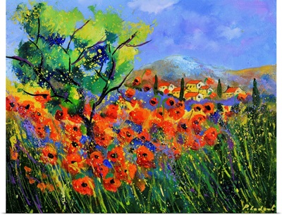 Poppies In Provence