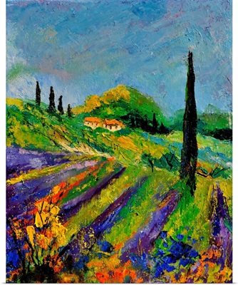 Provence 451190