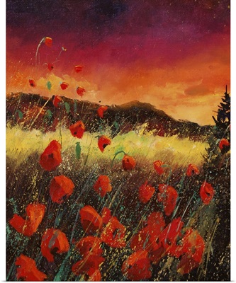 Red Poppies 67