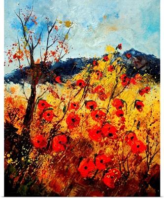 Red Poppies In Provence