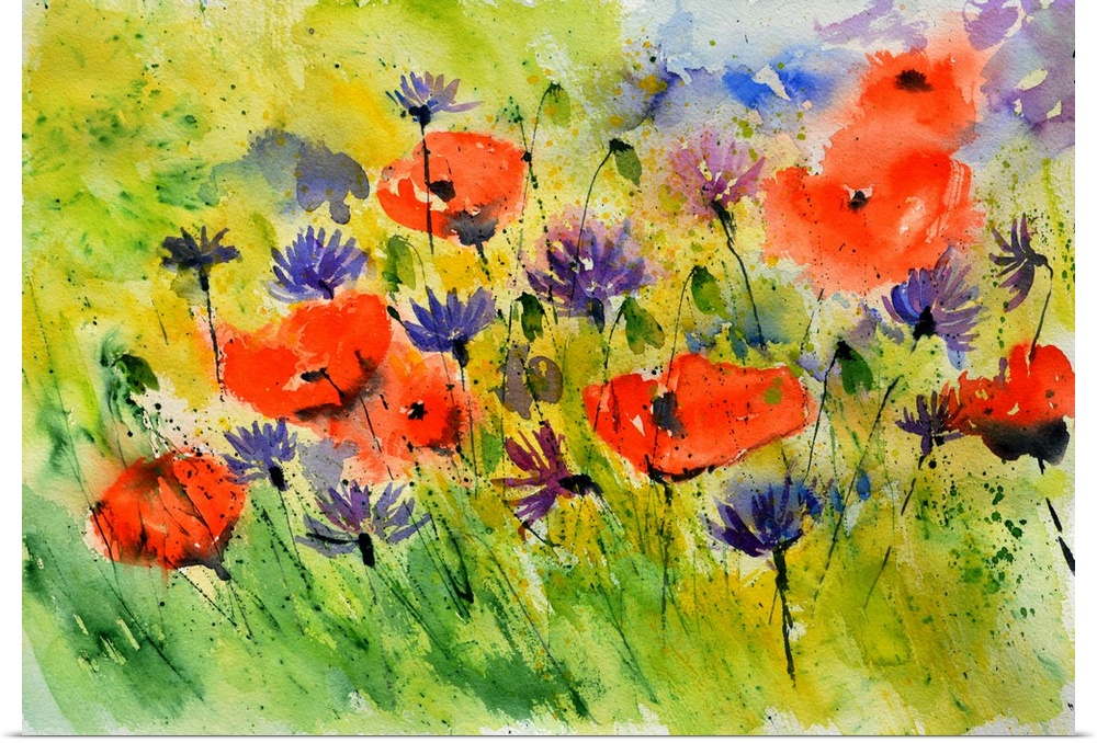 Horizontal watercolor painting of bright red poppies and purple flowers in a field.