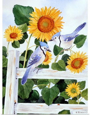Bluejays and Sunflowers
