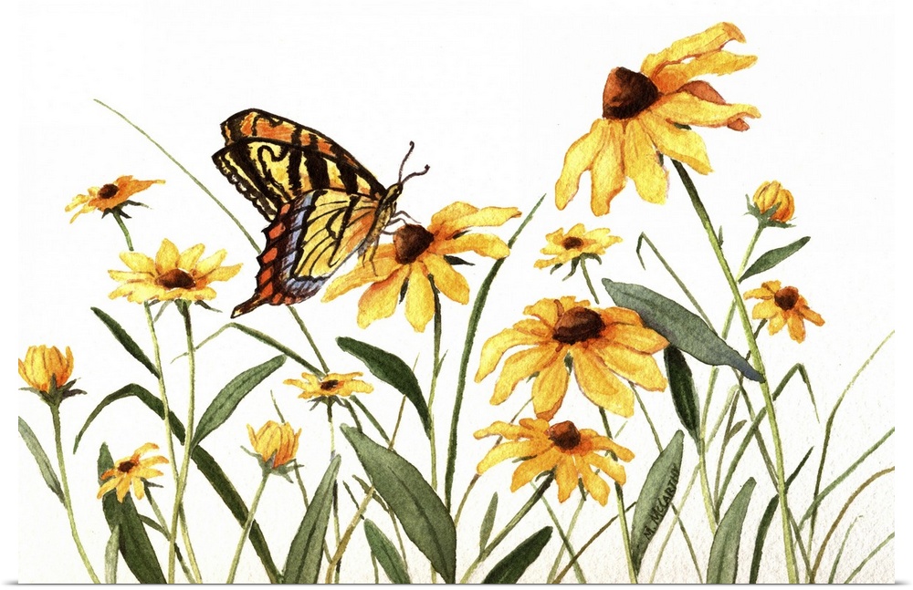 Butterfly And Black Eyed Susans