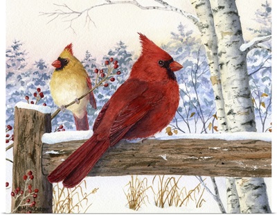 Cardinal pair with birch