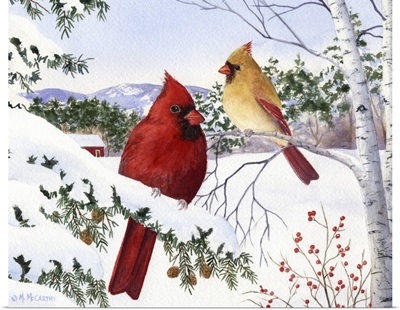 Cardinals and Hemlock Tree
