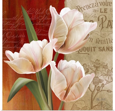 French Tulips II