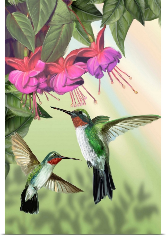 Fuchsia and Hummingbirds - Vertical