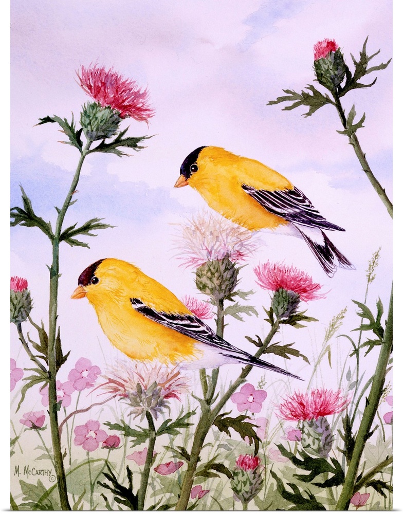 Goldfinch And Thistle